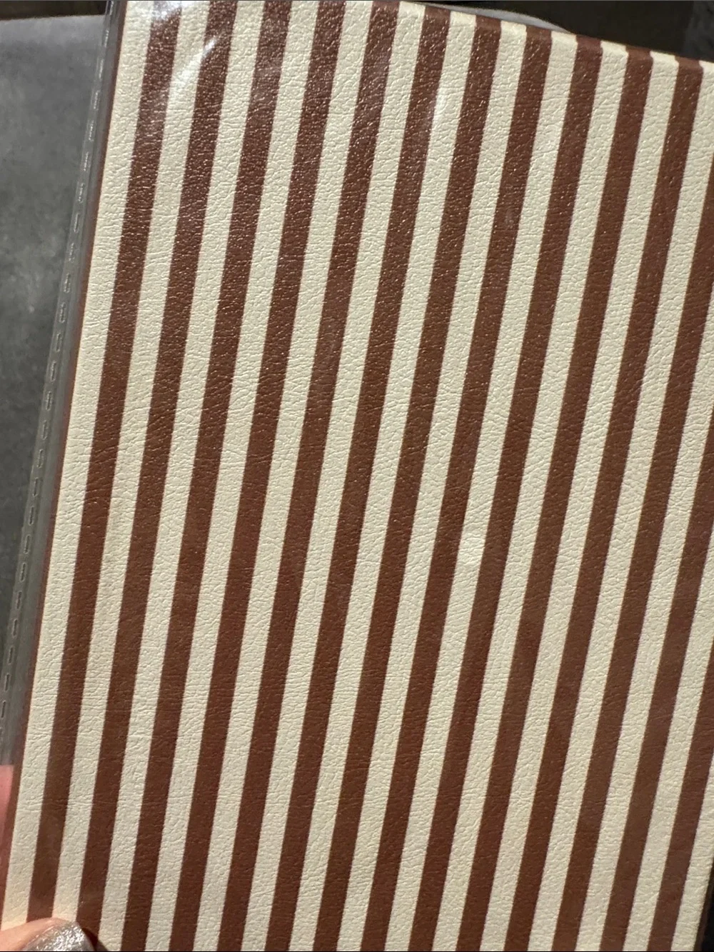 NWT Left On Read Kindle Paperwhite 11th Gen Case in Striped Brown